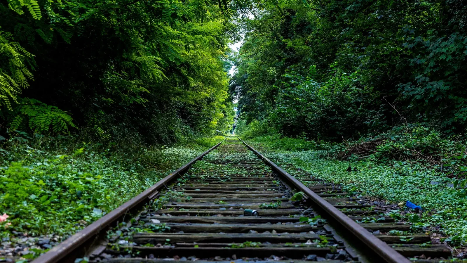 Psychologisches Gespräch und Auswertung eines Persönlichkeitsprofils